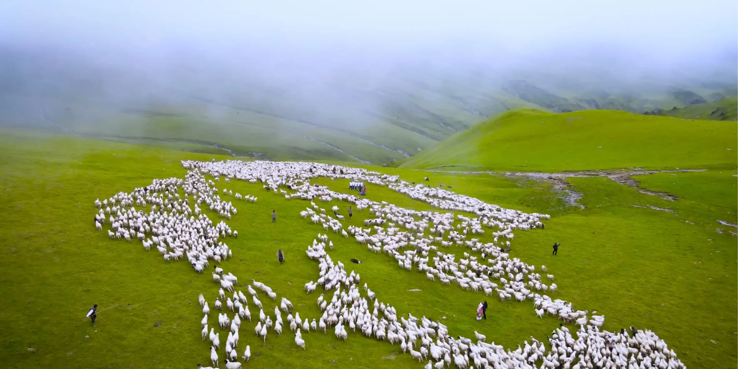 Dhorpatan Hunting Reserve Trekking: Terrain, Wildlife & Trekking Reality